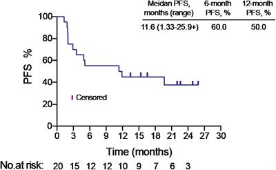 Sintilimab plus autologous NK cells as second-line treatment for advanced non-small-cell lung cancer previous treated with platinum-containing chemotherapy